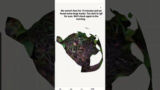 Night 1, Mowat Township, Sep.2023