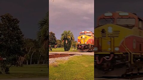 Florida East Coast Railway FEC-206 at Daytona Beach Golf Club July 18 2023 #railfanrob #fec206