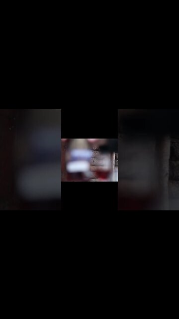 Cabin Life with Single Cask Straight Bourbon Whiskey from Boulder Spirits