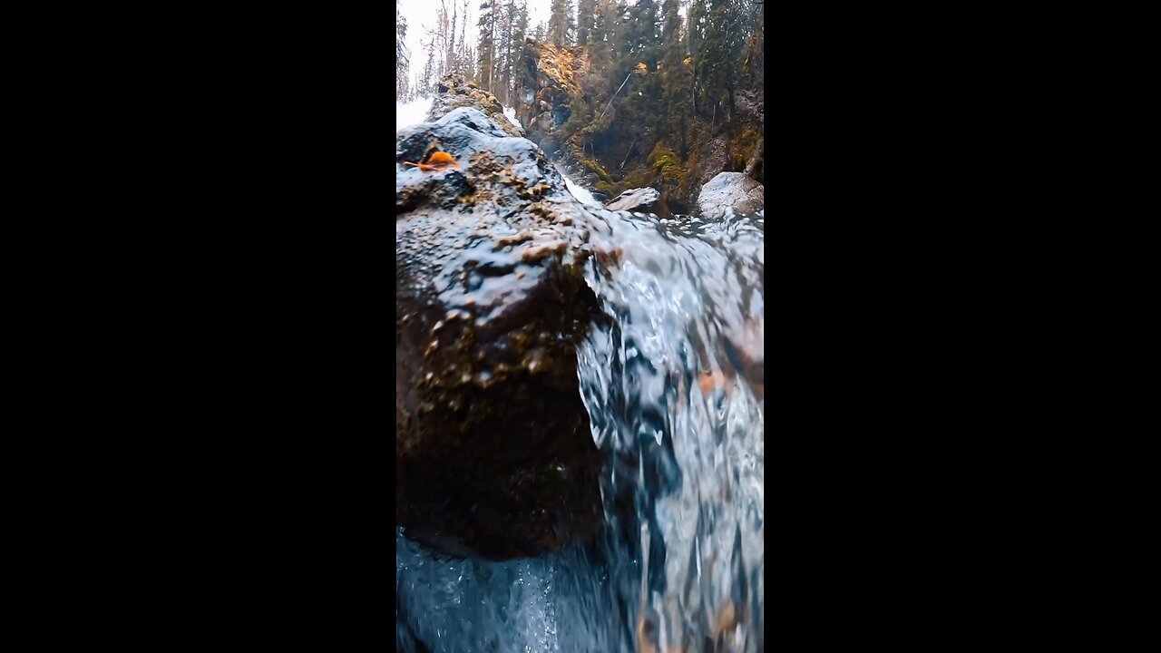 Nature's symphony, the river's melody.