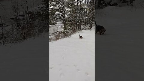 Fun In The Snow Part 2.. ❤️