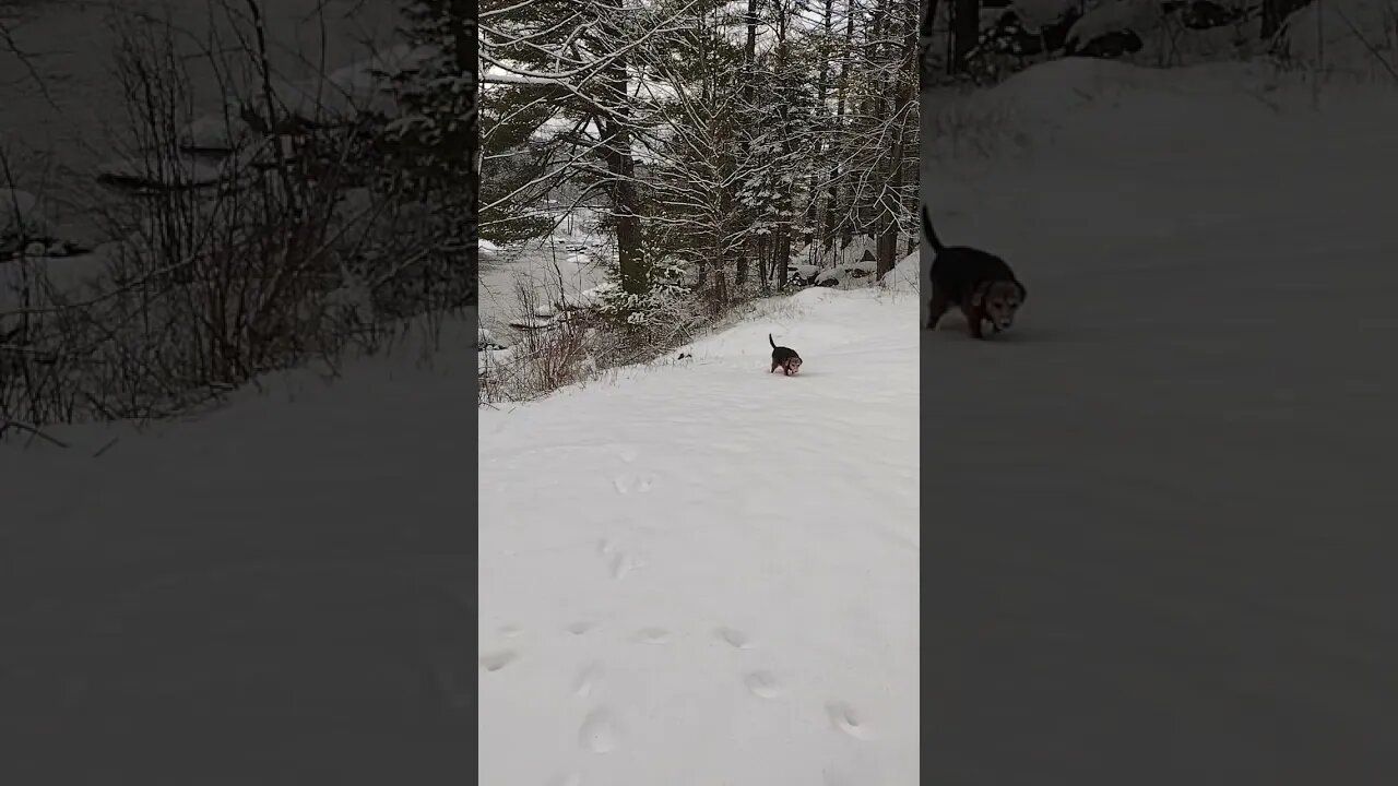 Fun In The Snow Part 2.. ❤️