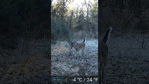 Young guy showing potential.