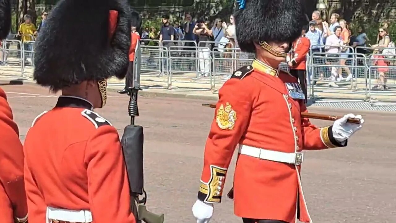 Checking the guards are in line trooping the colour #thekingsguard