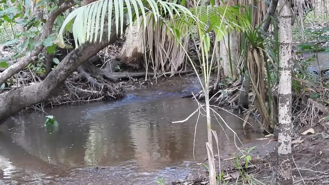 Meditating Babbling Waters Tumbling Waters Creek