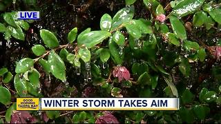 Winter storm takes aim on Florida