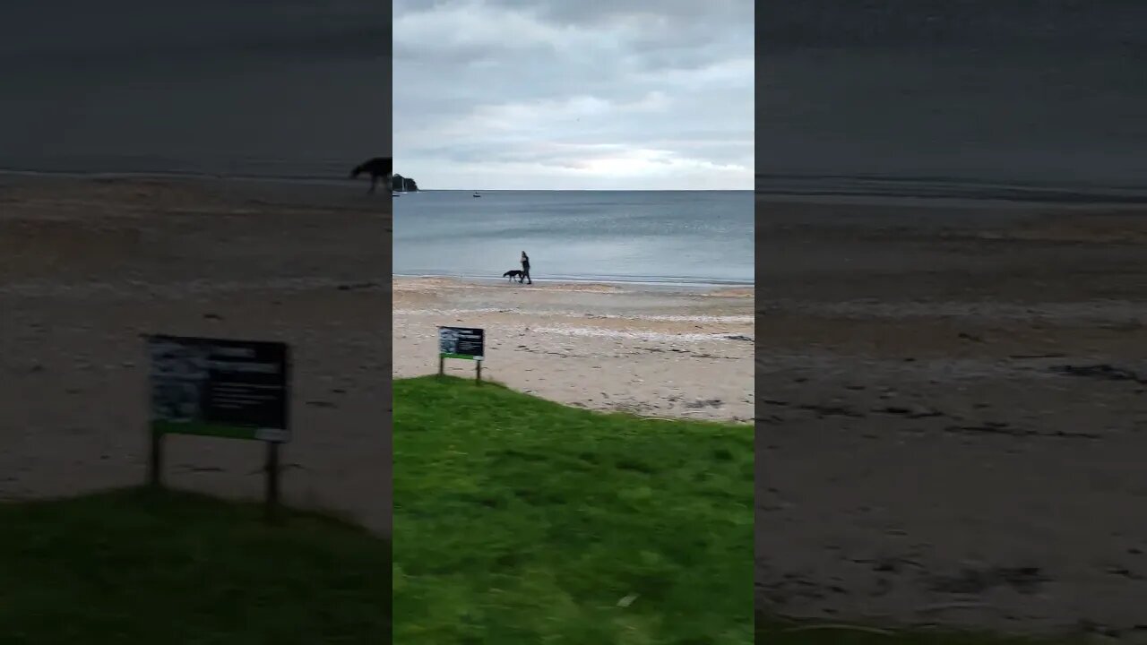 Walking Greyhound on the Beach.