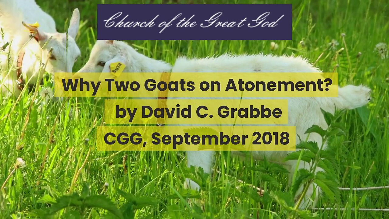 Why Two Goats on Atonement?