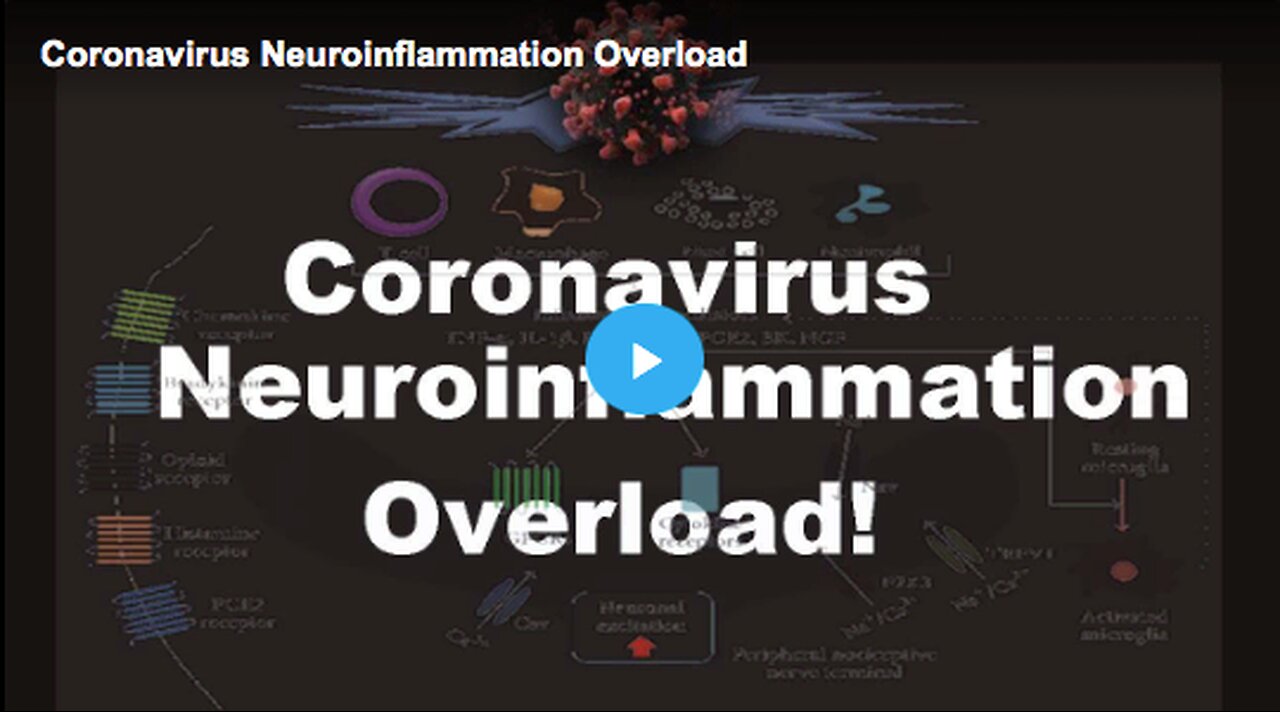 Coronavirus Neuroinflammation Overload