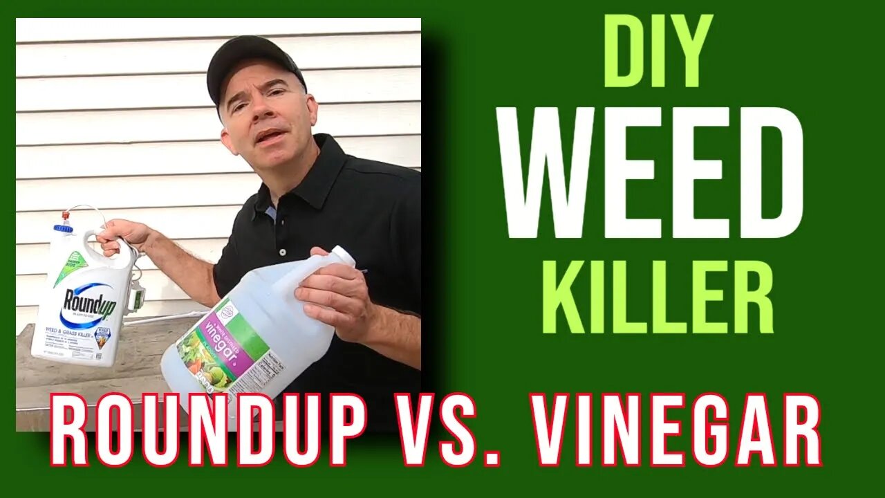 Quick Tip: Is DIY vinegar weed killer better than Roundup?