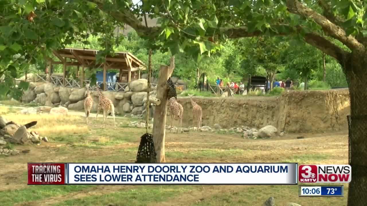 Omaha's Henry Doorly Zoo sees drop in attendance