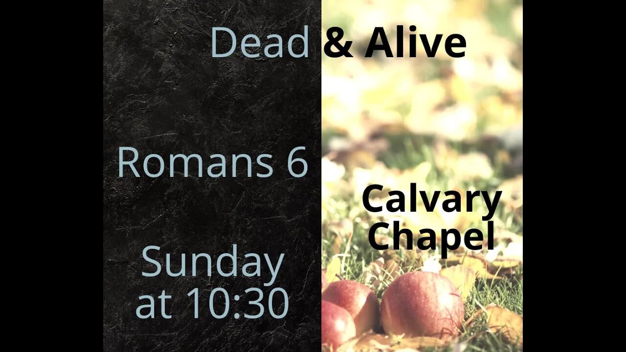 Romans 6 Dead and Alive
