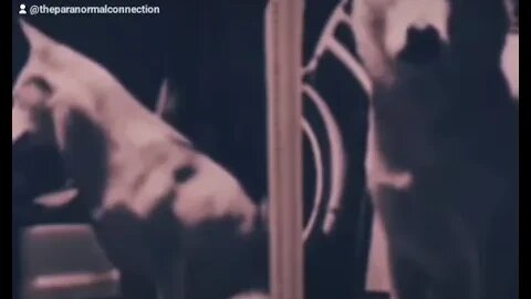 Scary Compilation