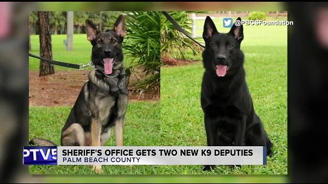 2 new canines for PBSO