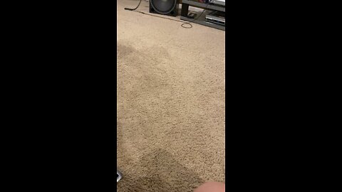 Reese playing