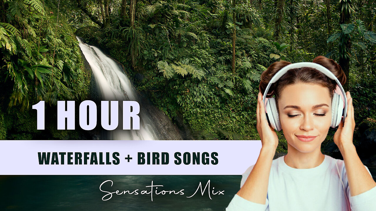 Soft Sounds Of Nature. 1 Hour of Birdsong and the sound of waterfalls