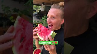 SUMMER FLASHBACK 🍉🍉👀❤️#shorts #viral #trending #tiktok #garden