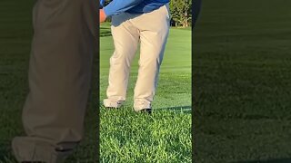 #trending #shorts #corn #youtubeshorts #subscribe