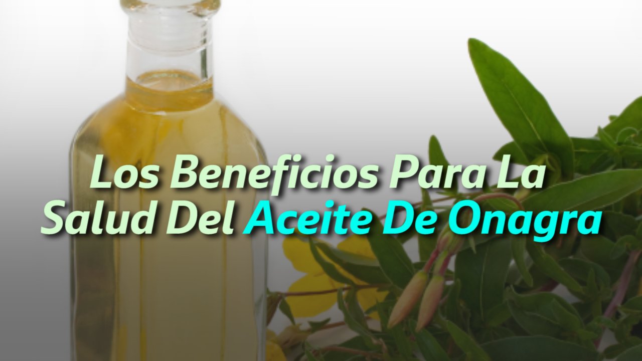 Los Beneficios Para La Salud Del Aceite De Onagra