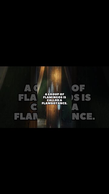 Incredible Random Facts That Will Expand Your Mind! [2023] #shorts #facts #viralshorts #fyp #life