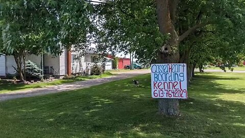 Camp Cleanup GiveSendGo 