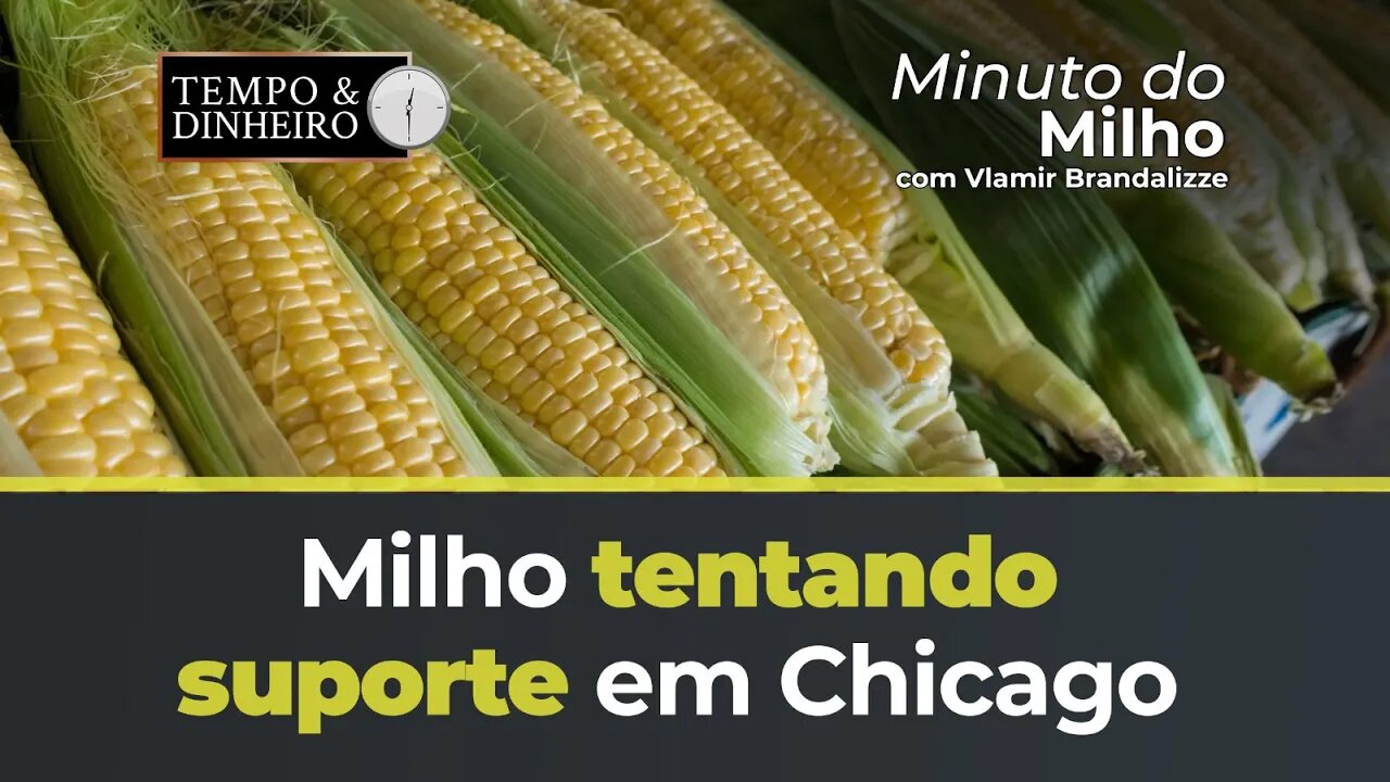 Milho tentando suporte em Chicago