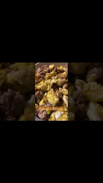 Lucious landscape of Sausage and Eggs! #carnivore #carnivorediet