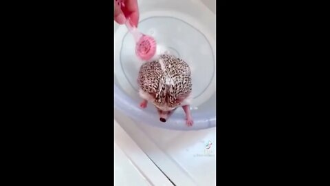 Bath time