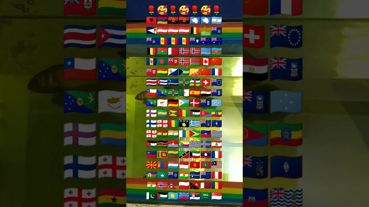 find our national flag #shorts #viral #bts#video please subcribe my channel #video #viralshorts