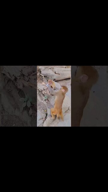 Most Amazing and trending video||relaxing your mind||trendig videos|| #shorts #trending #viral #live