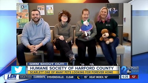 Good morning from the Humane Society of Harford County!