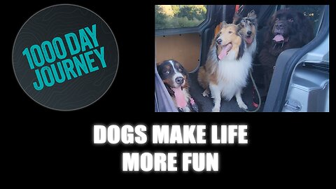 1000 Day Journey 0397 Dogs Make Life More Fun