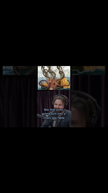 Is the myth of the Kraken true? Giant squid and Octopus with Joe Rogan and Forrest Galante #shorts