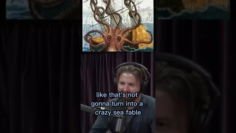 Is the myth of the Kraken true? Giant squid and Octopus with Joe Rogan and Forrest Galante #shorts