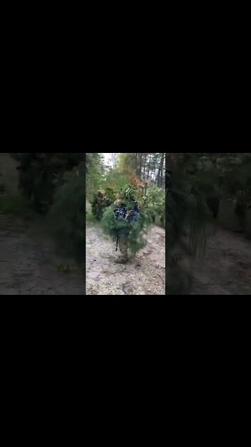 Russia Ukraine War: Ukrainian snipers and servicemen in camouflage #shorts