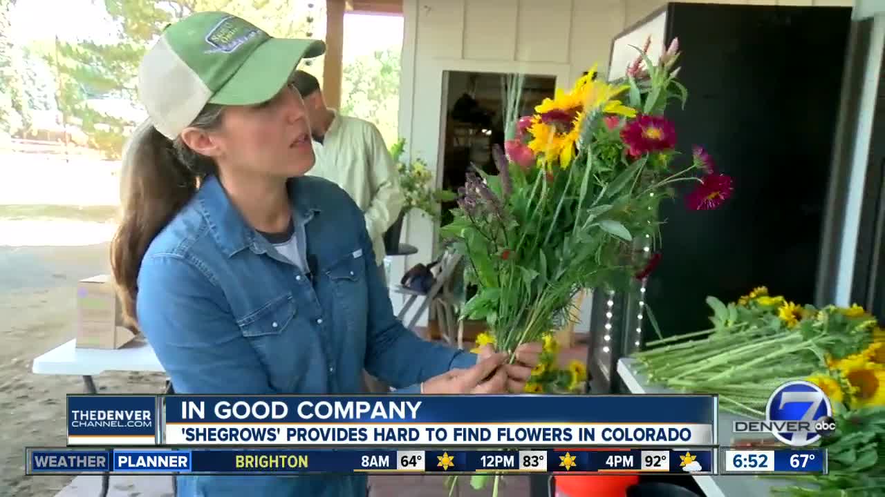 In Good Company: Arvada flower farmer embraces 'Colorful Colorado' in business