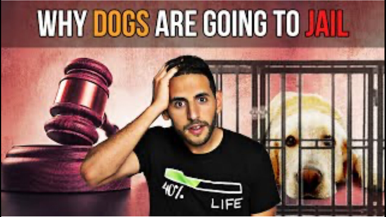 WHY DOGS ARE GOING TO JAIL