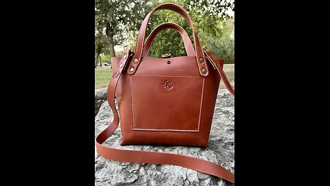 Display of the Leather Snap Handbag