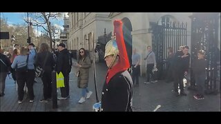 Ambulance scares the kings guards horse #horseguardsparade