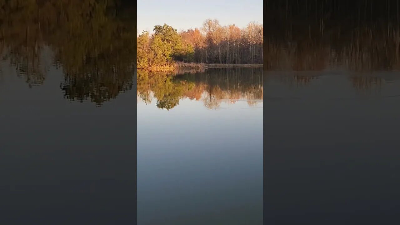 start of spring