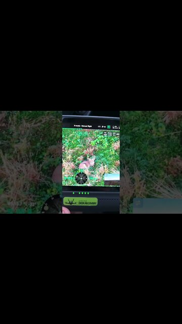 Buck Located With Drone Deer Recovery Alive And Well