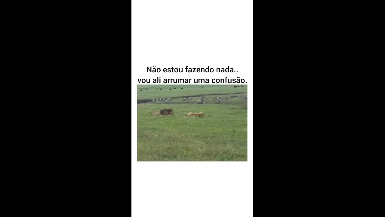 Dessa vez o caramelo passou dos limites