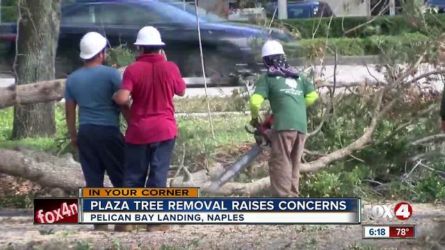 Major tree removal project at shopping plaza upsetting residents