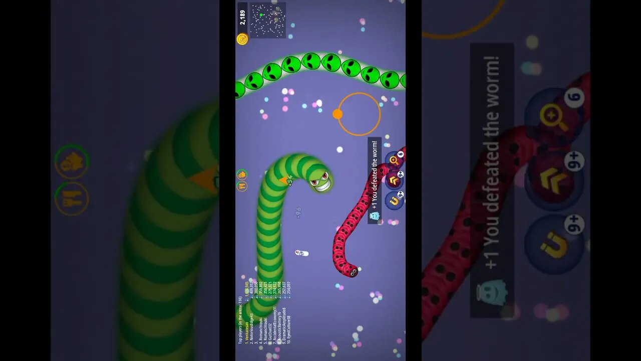 Shorts CASUAL AZUR GAMES Worms Zone .io - Hungry Snake 53-430