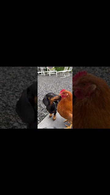 6 de outubro de 2022