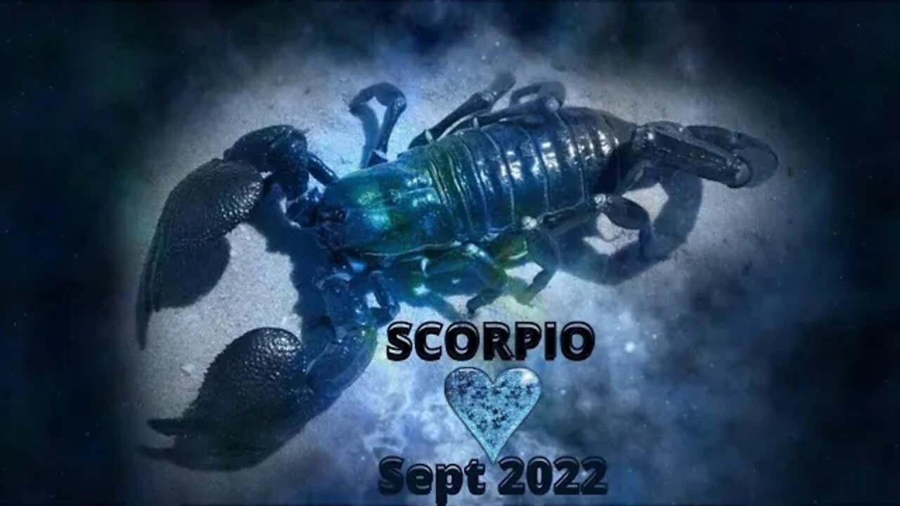 #Scorpio Love Tarot Reading Sept 2022 (How Do they Feel about you?)