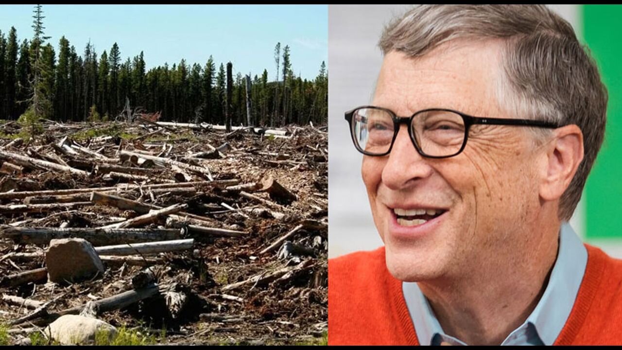 Bill Gates Pushes Agenda to Chop Down Forests and Bury the Trees