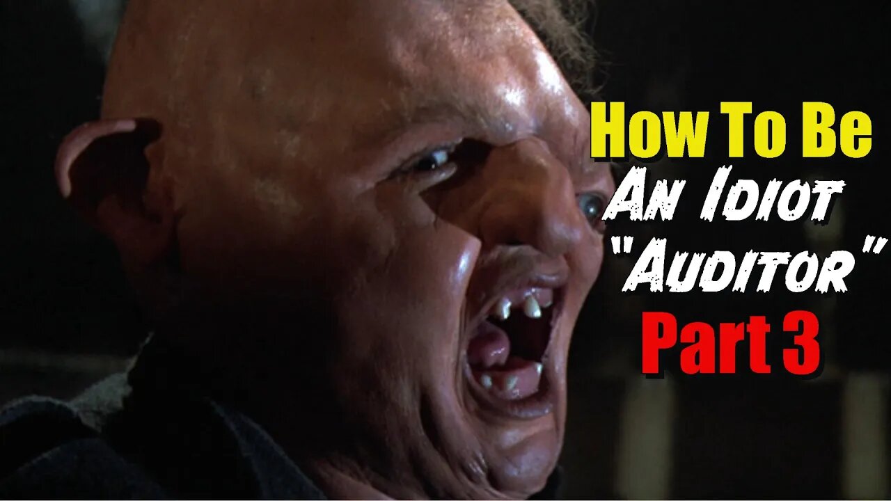 How To Be An Idiot "Auditor" Part 3