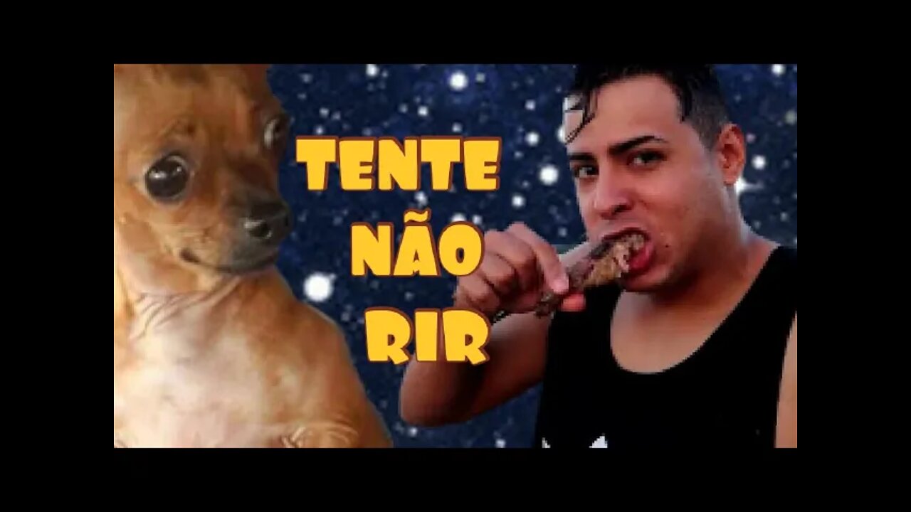 TENTE NÃO RIR 😂 NÍVEL: IMPOSSÍVEL