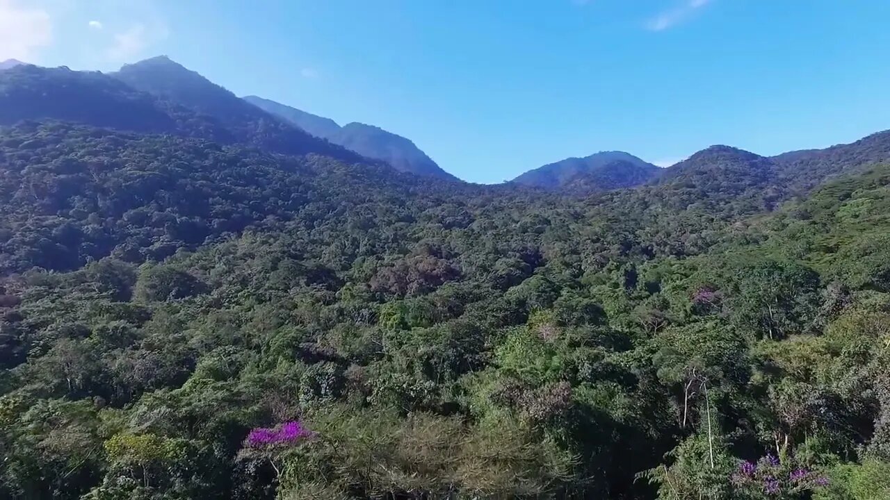 Vuelo sobre Cordillera 3 - Usalo gratis